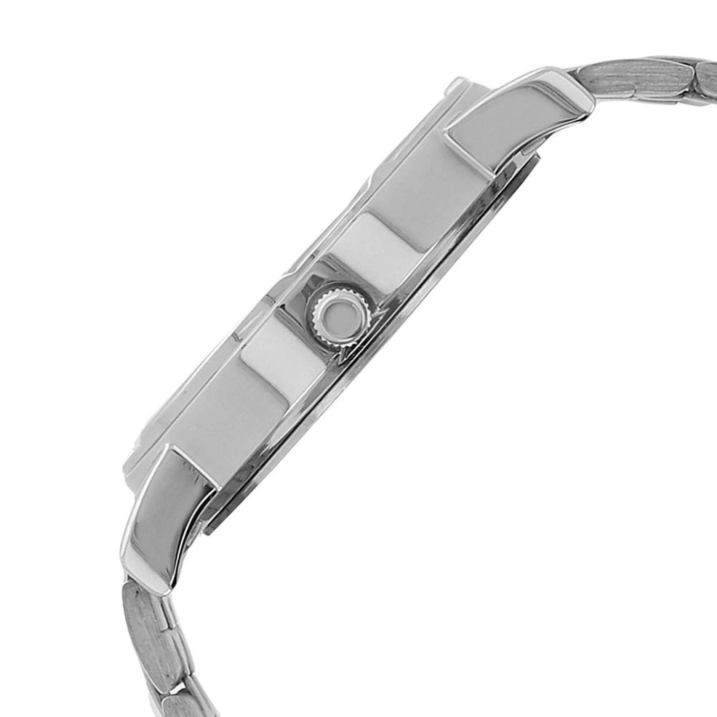 Titan Stainless Steel Strap Watch for Men-1639SM01