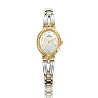 Titan Karishma Silver Dial Analog Watch for Women-2594BM01