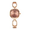 Titan Raga Economy Dial Metal Watch for Women-2725WM01
