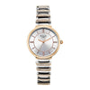 Titan Raga Silver Dial Two Toned Metal Strap Analog Watch For Women